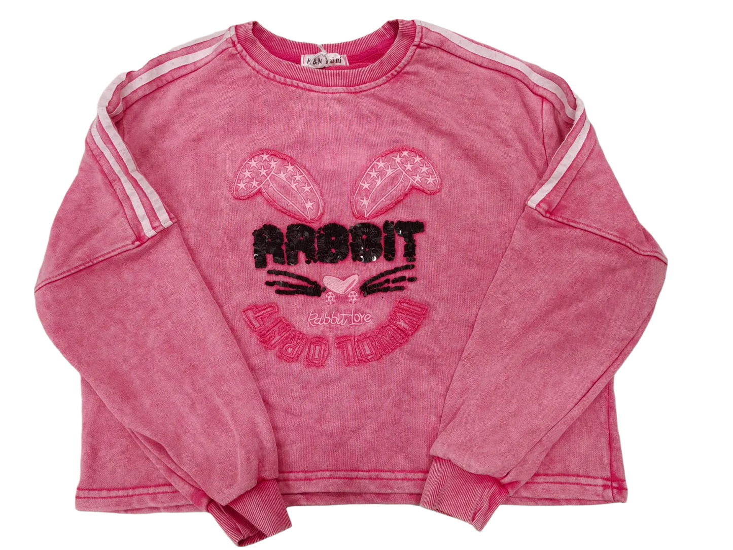 Girls Crop Sweatshirt Full Sleeves With Sequin Elegant Work