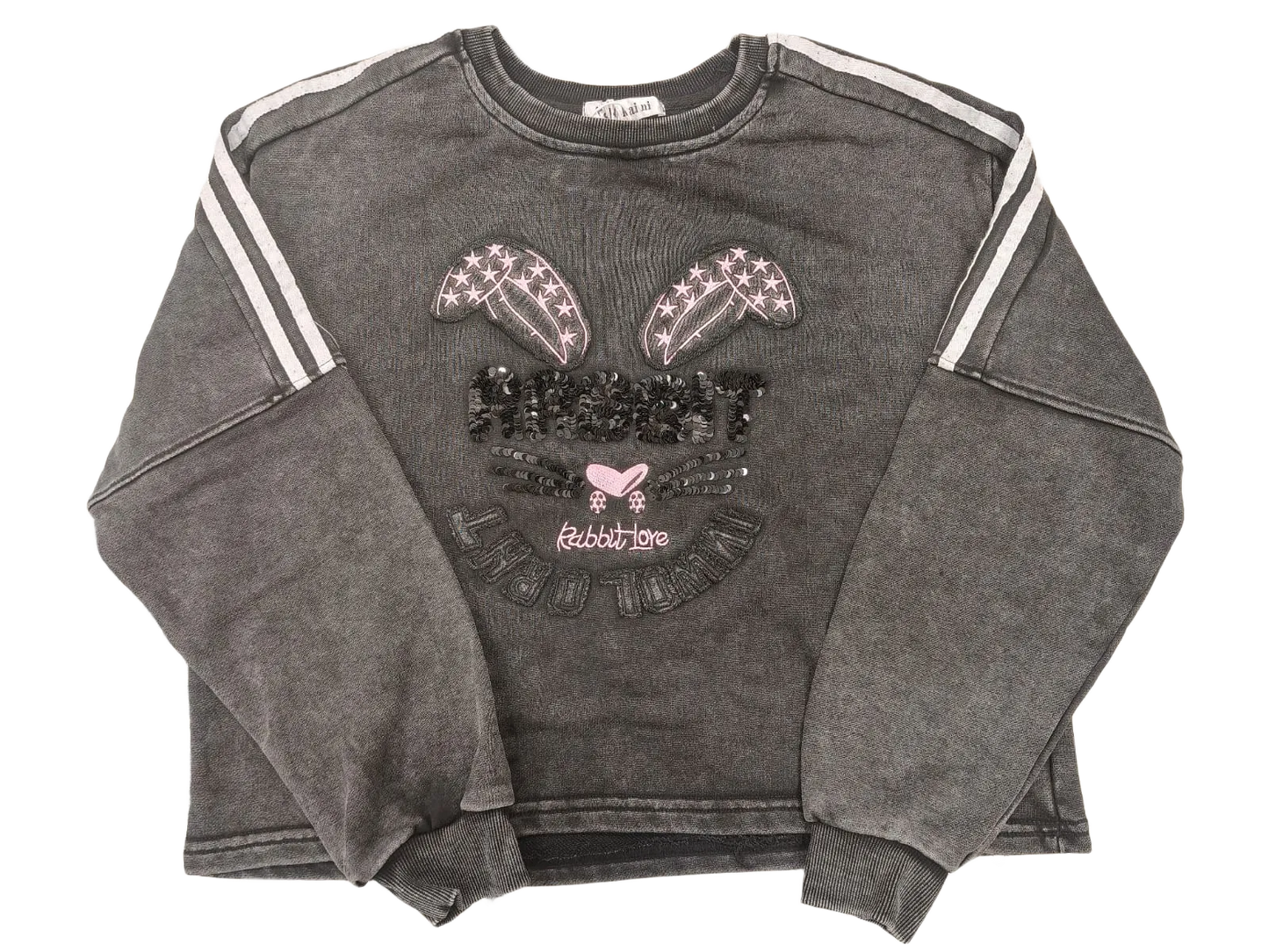 Girls Crop Sweatshirt Full Sleeves With Sequin Elegant Work